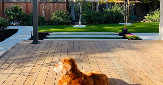 9 Tips for Designing a Dog-Friendly Backyard