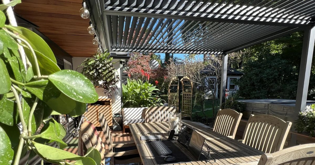 A Guide to Creating Natural Pergola Shade With Plants