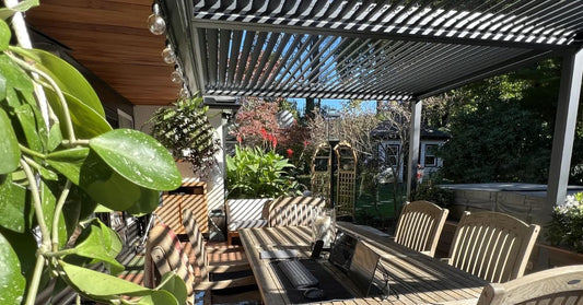 A Guide to Creating Natural Pergola Shade With Plants