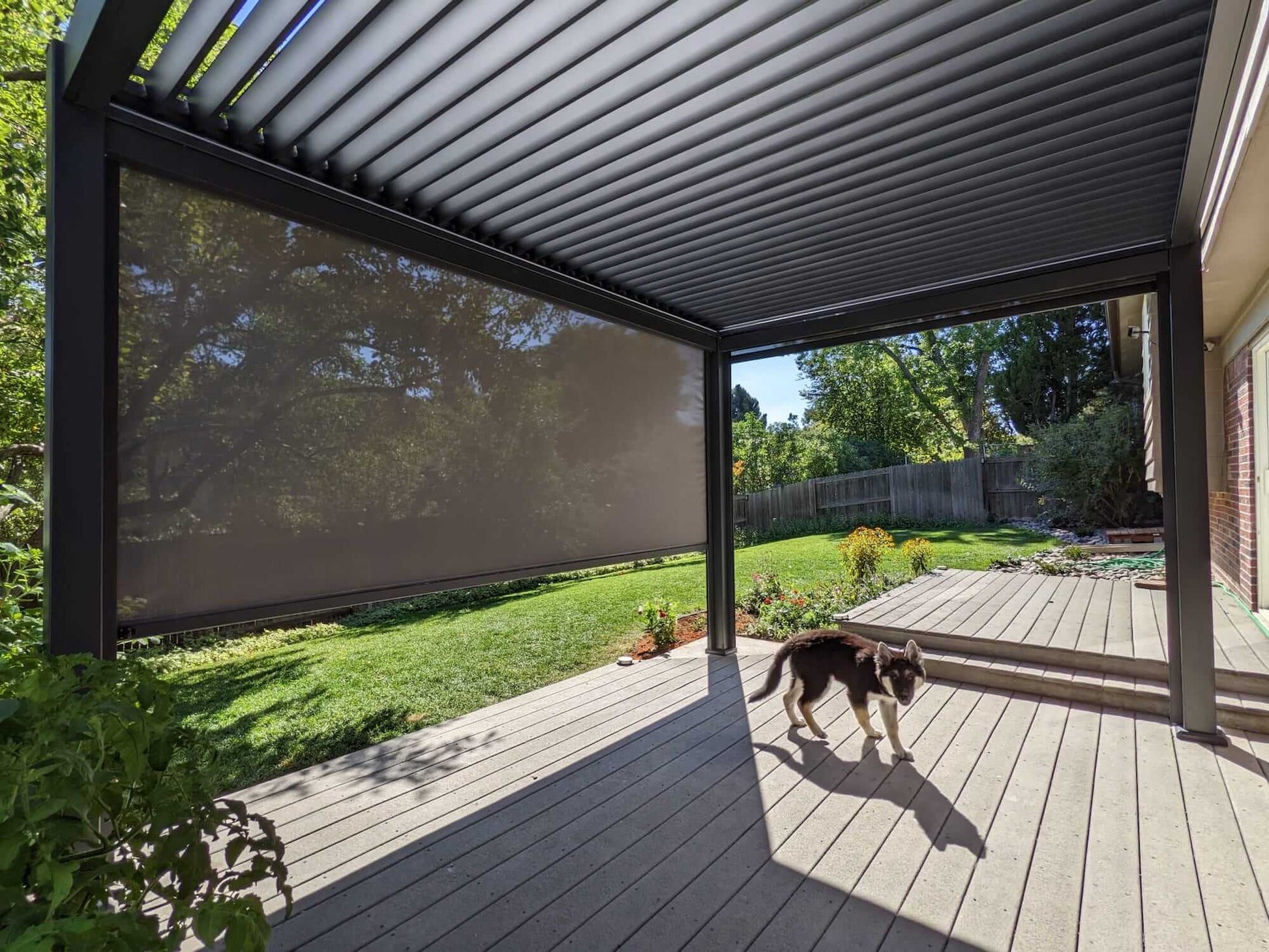 A black Bon Pergola, 13 ft by 19 ft, with motorized louvered roof panels, stands over a patio decked in light gray wood. One side of the pergola features a dark-colored sunshade screen. The patio is open and uncluttered, with just a small dog wandering through the sunlight.