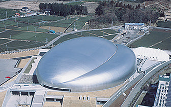 View of Fuji Swimming Pools roof